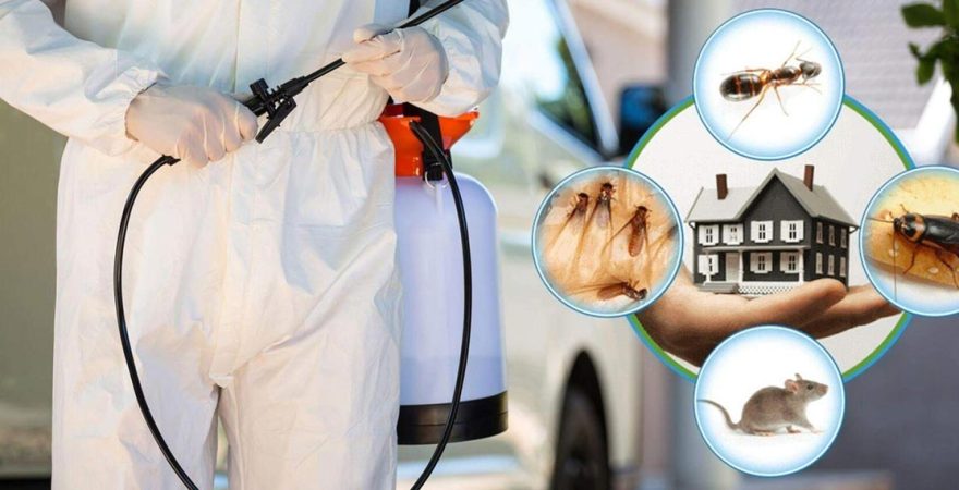 Birecik Böcek İlaçlama