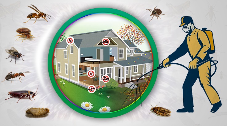 Birecik Böcek İlaçlama