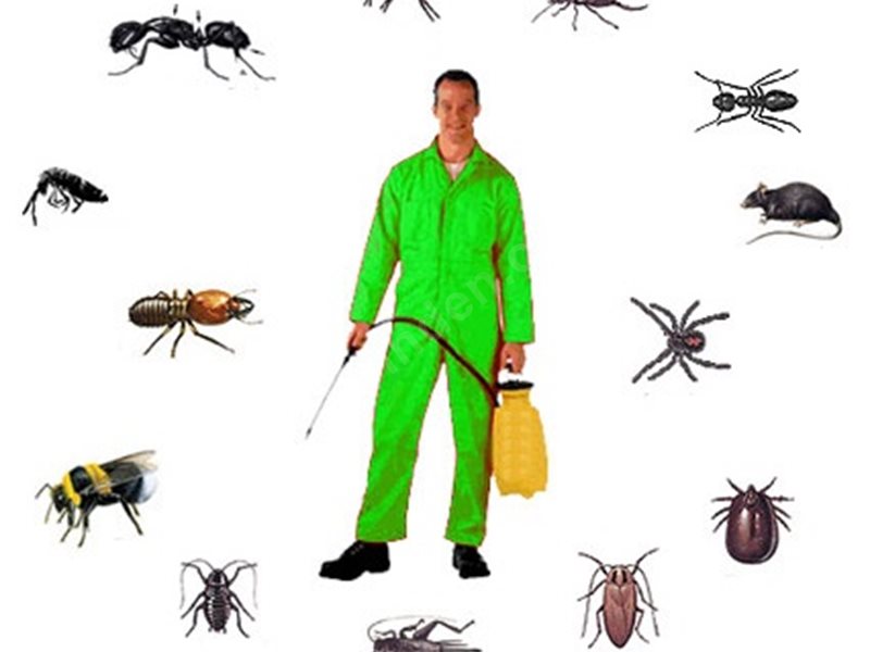 Birecik Böcek İlaçlama